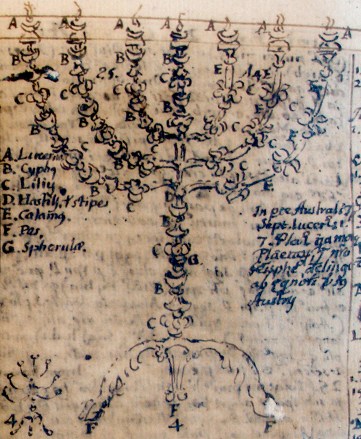 Fray_Juan_Ricci,_Menorah.jpg